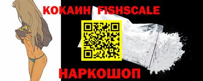гашик Моздок