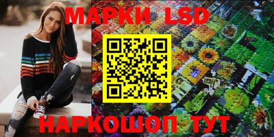 гашик Моздок