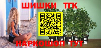гашик Моздок
