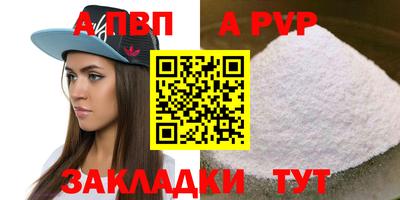 гашик Моздок