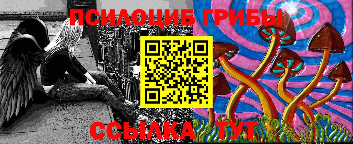 Галлюциногенные грибы GOLDEN TEACHER  Вход с VPN  Псилоцибиновые грибы MAGIC MUSHROOMS  Тимашёвск 